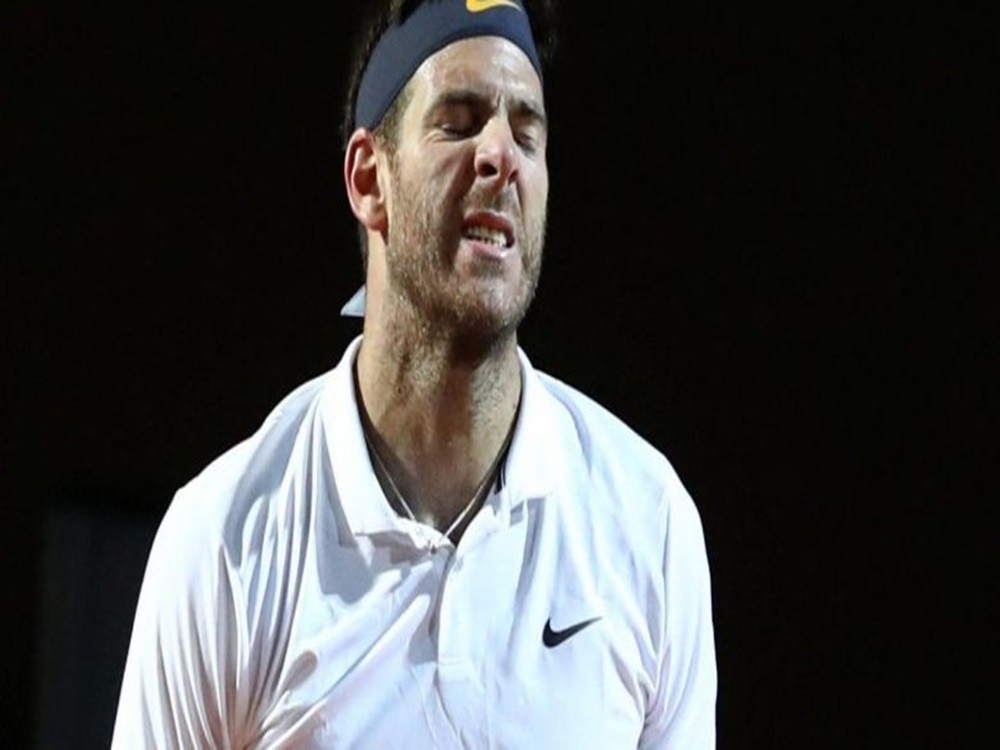 Del Potro no pudo con Djokovic en Roma