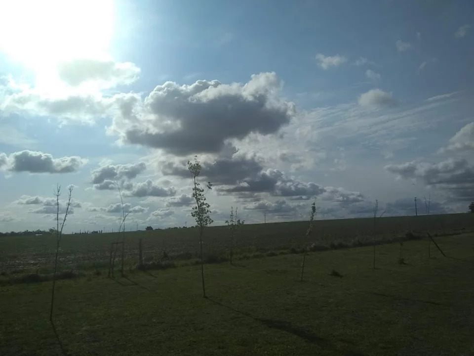 Anticipan cielo parcialmente nublado con un máxima de 26 grados