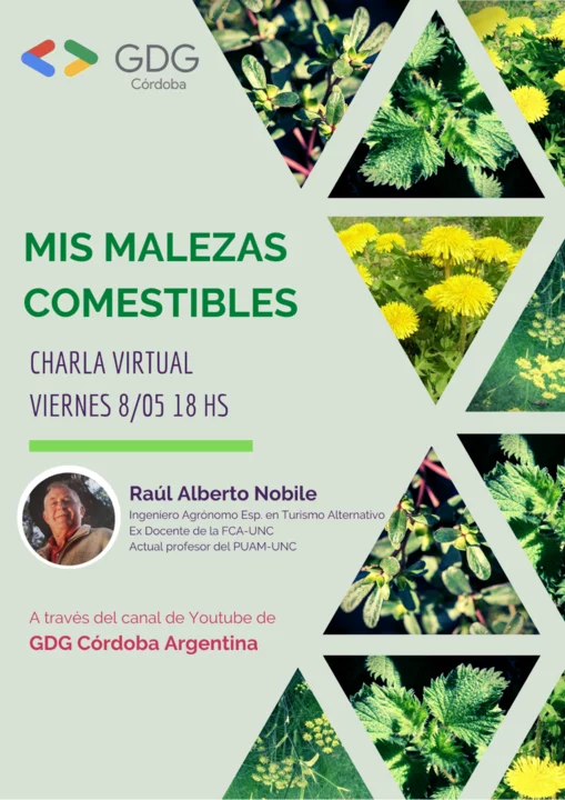 "Mis malezas comestibles" charla virtual