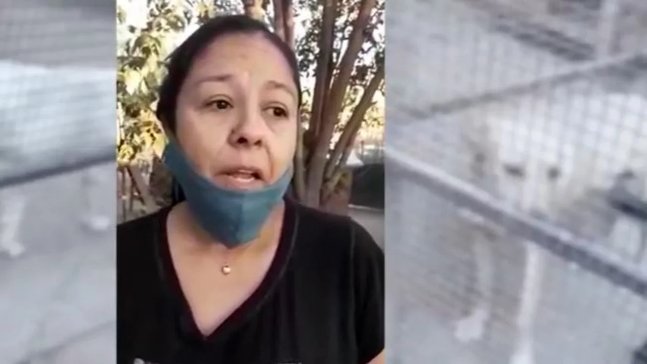 La pandemia impactó en un refugio de perros y 20 animales necesitan una casa