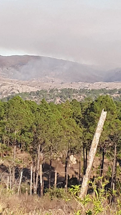 Imágenes: un incendio se desarrolla en una zona rural de Alpa Corral