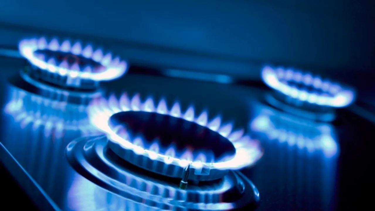 El Enargas propone reducir la tarifa de gas durante el invierno