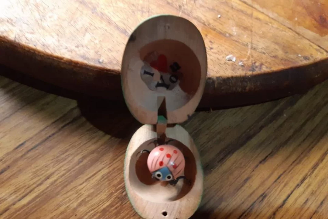 Encontraron un objeto que podría ser de Facundo Astudillo