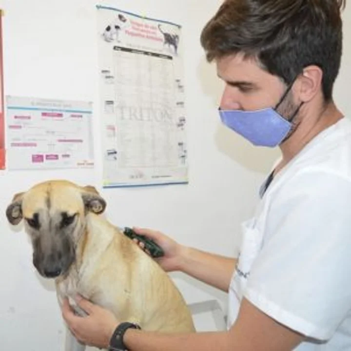 Las Varillas implanta microchips a los perros
