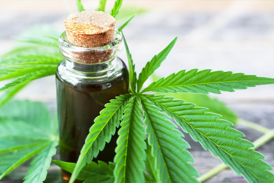 Córdoba: convocan a una marcha de la marihuana el sábado 7 de mayo
