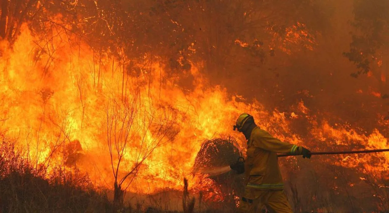 Dos personas perdieron la vida durante los trágicos incendios en el noroeste de Córdoba. Foto: Radio Mitre