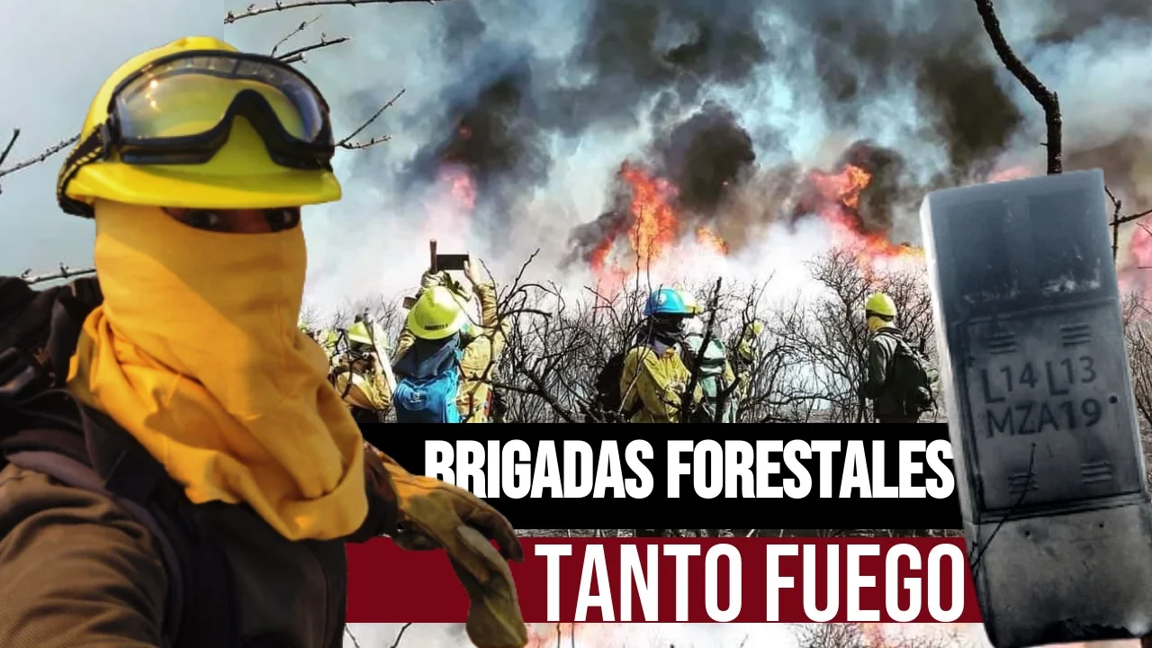 Hay más de 30 Brigadas Forestales que trabajan en el territorio provincial.