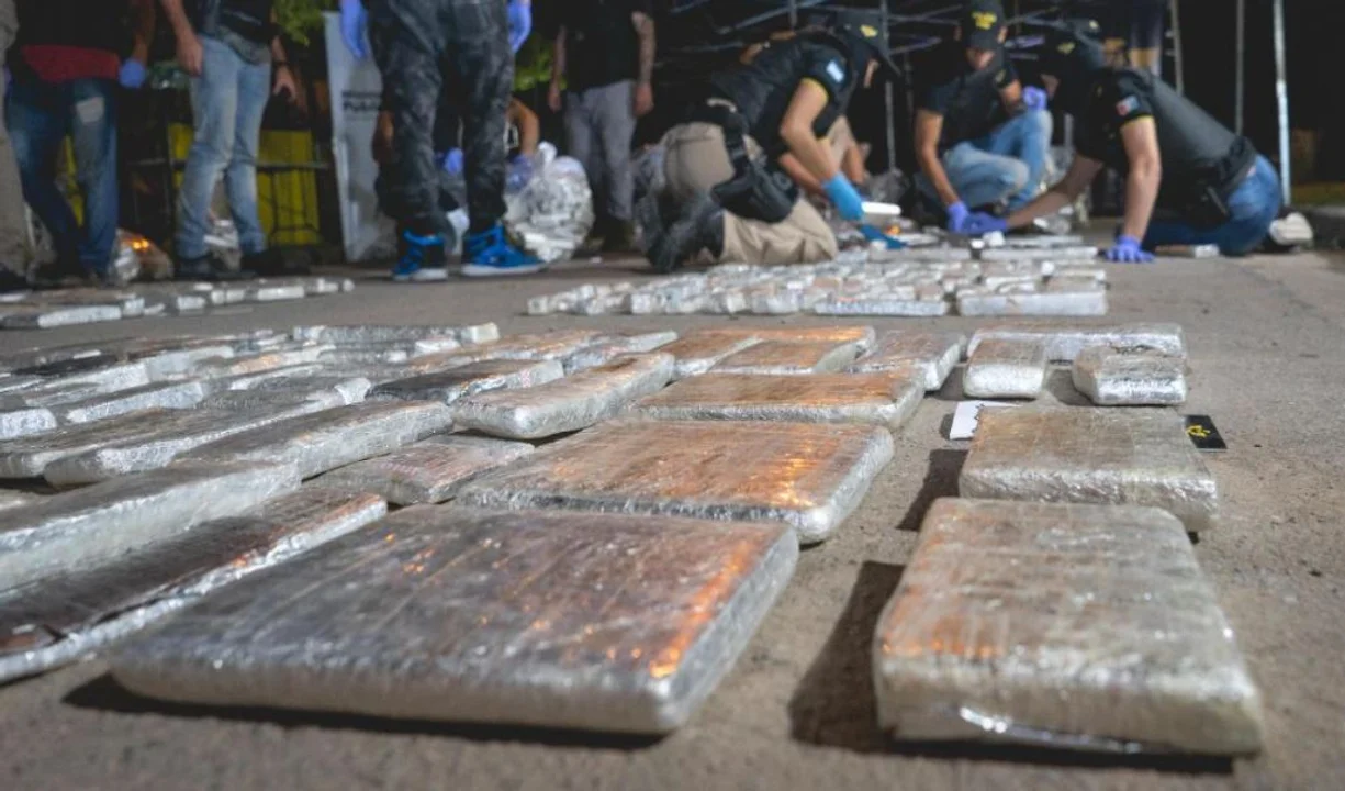 Condenaron a tres hombres y una mujer a los que detuvieron con 300 kilos de drogas / Imagen: MPF Córdoba