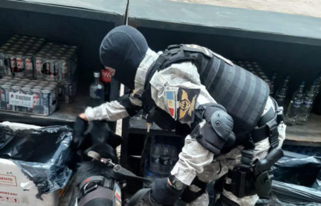 La Fuerza Policial Antinarcotráfico realizó un operativo en una Fiesta Electrónica en La Calera. / Imagen: MPF Córdoba.