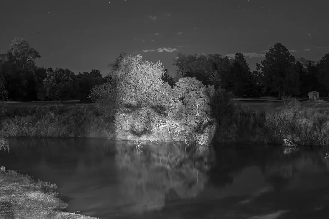 Apareciendo a López en el río Ctalamochita. 2014. (a partir de una foto de Helen Zout). 1er Premio adquisición del Salón Nacional de Artes Visuales 2015.