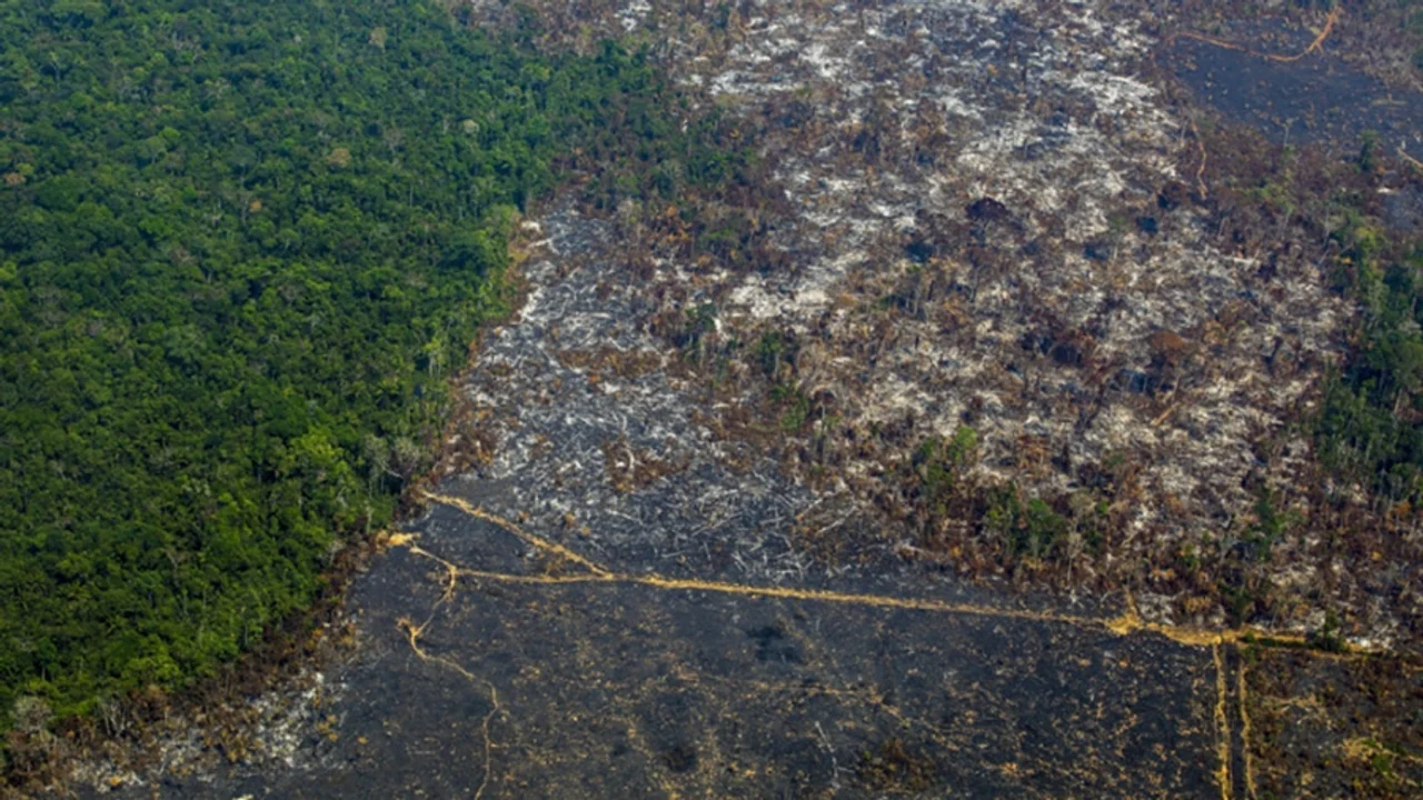 Los países en vías de desarrollo reivindican especialmente su derecho a seguir aumentando el nivel de vida de sus poblaciones, que abarcan la gran mayoría del planeta. Foto: AFP
