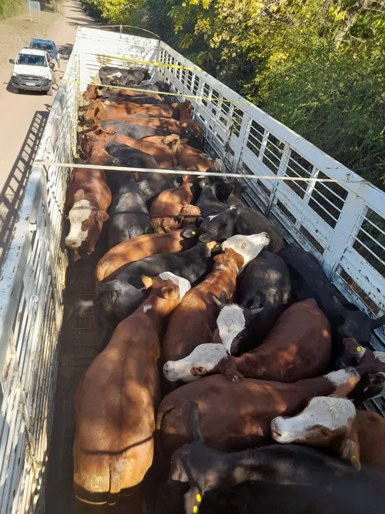 Foto: Policía de Córdoba