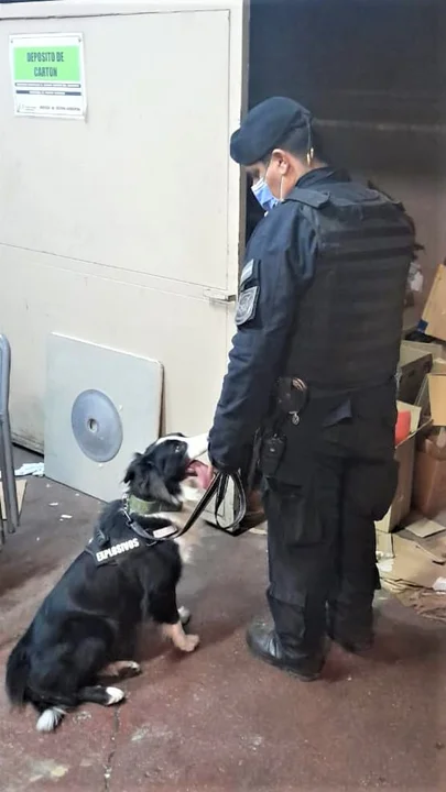 También participaron de la requisa los canes entrenados en explosivos. Foto: Policía de Córdoba