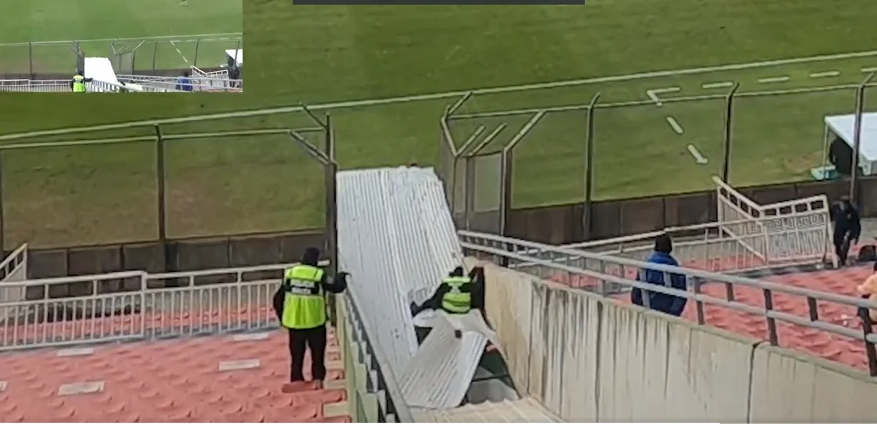 Video: quiso meterse a la cancha y terminó cayéndose con el policía al túnel