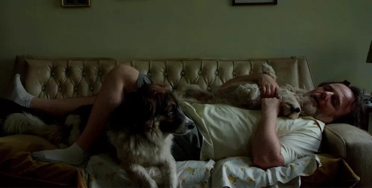 Los perros y el cine: una relación particular
