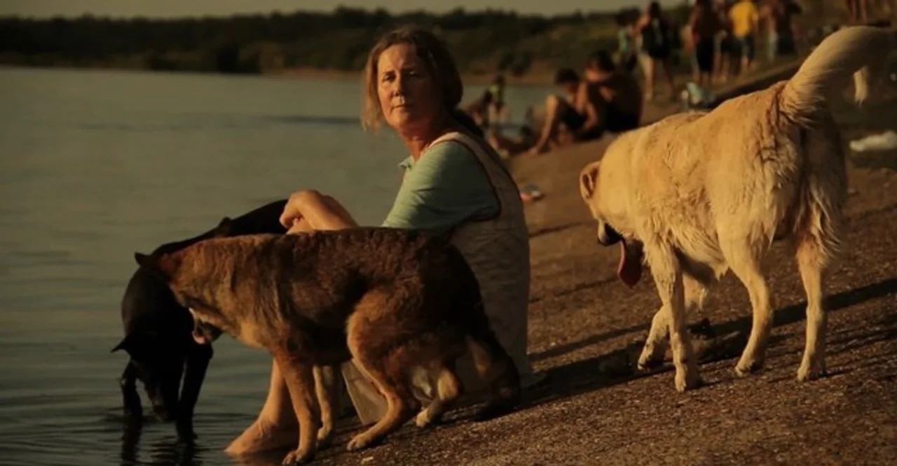 Los perros y el cine: una relación particular