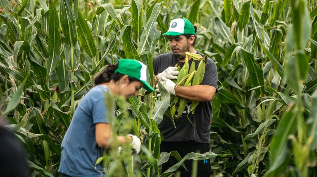 Foto: Facultad de Ciencias Agropecuarias.