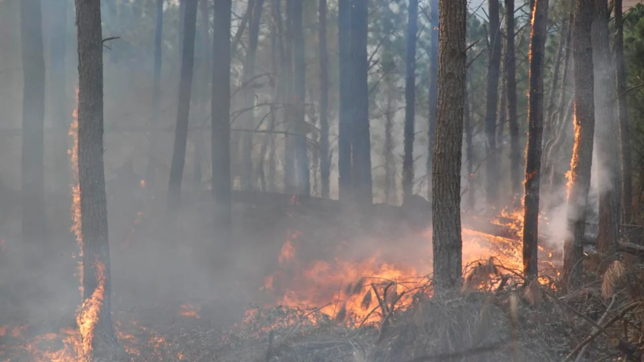 Incendios desafían a los bomberos y ETAC. Foto: Prensa CBA.