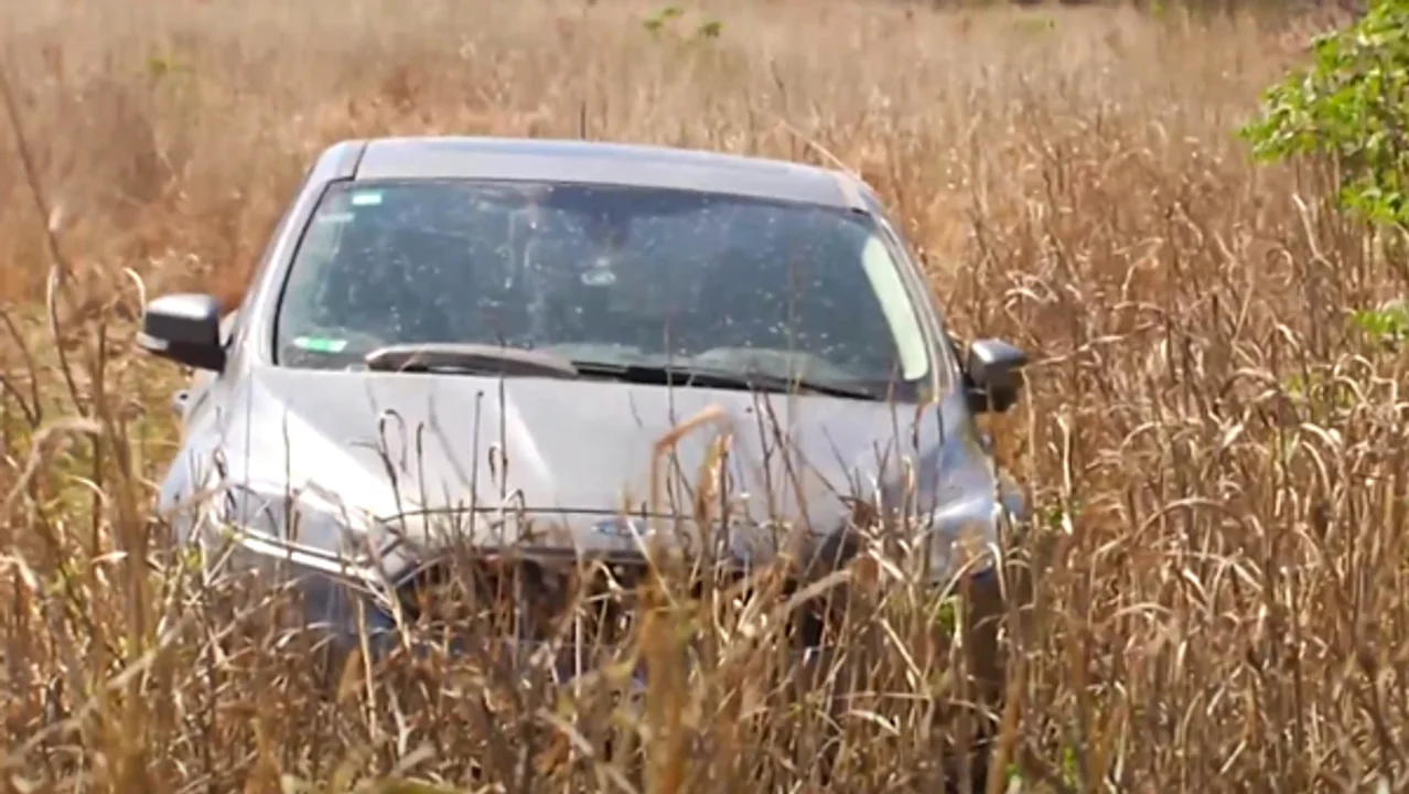 Imagen: captura de video. 