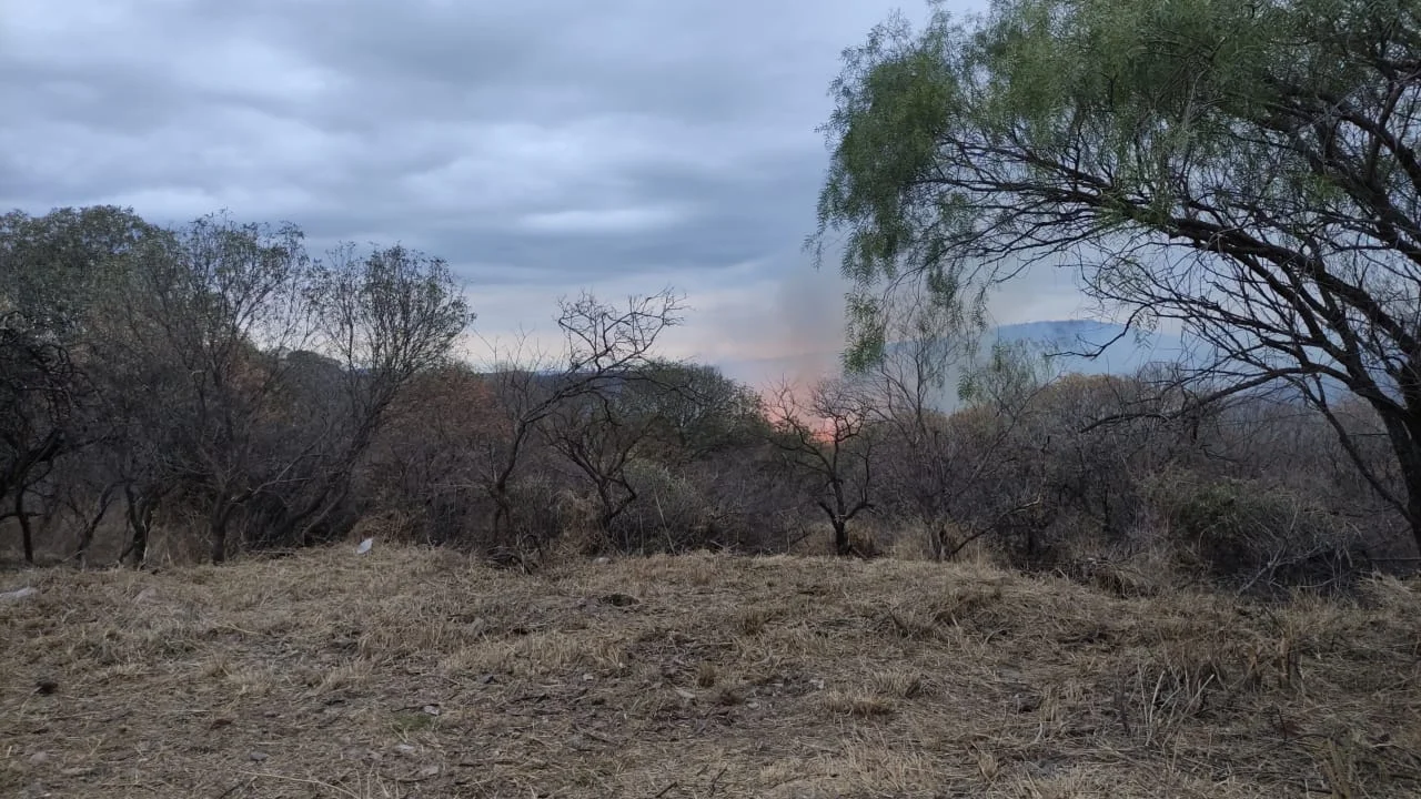 Combaten un incendio forestal en Mendiolaza que amenaza a viviendas cercanas. Fotografía: gentileza vecinos de la zona.