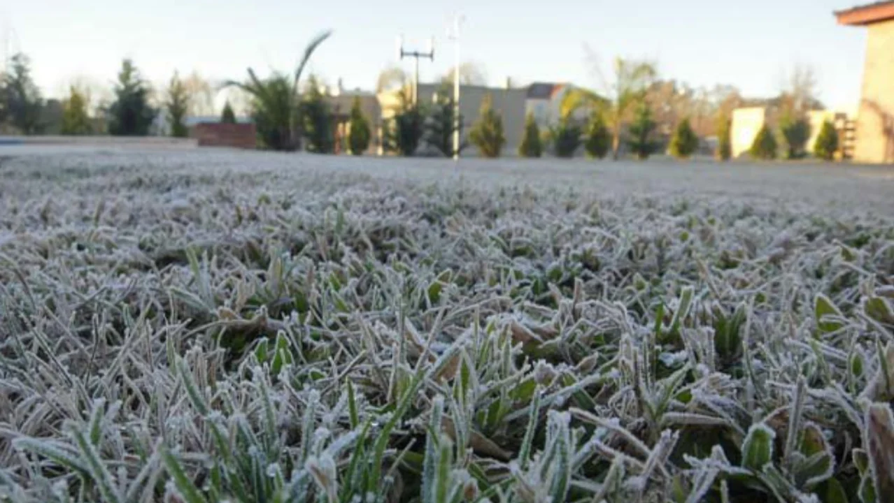 Imagen: @Agroverdad
