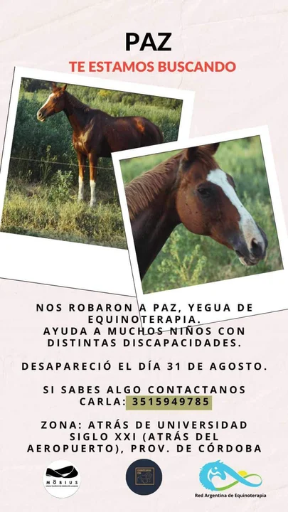 Denuncian ola de robo de caballos para faenarlos en Córdoba