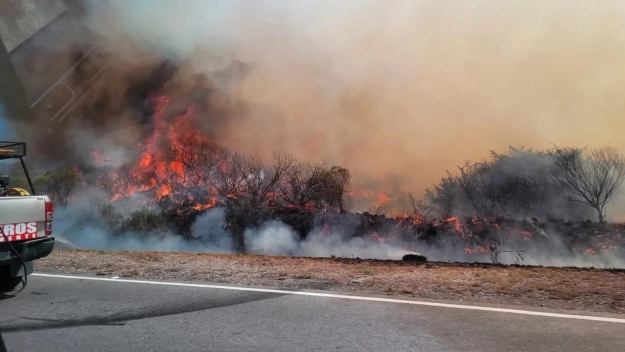El fuego se desplazó desde la ruta hacia la montaña. Imagen: Alta Info