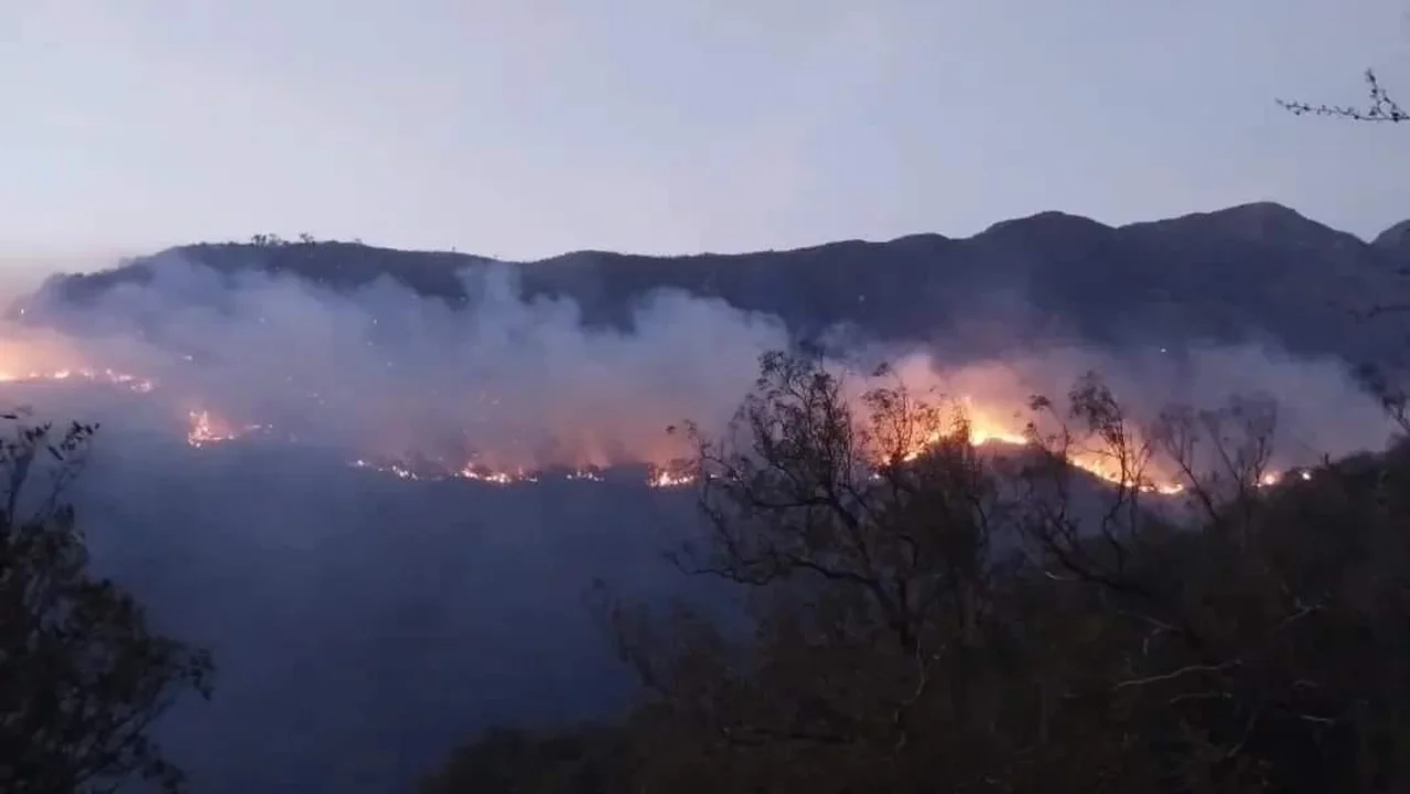 Sin agua y casas destruidas: Los Cocos vive un panorama apocalíptico por los incendios