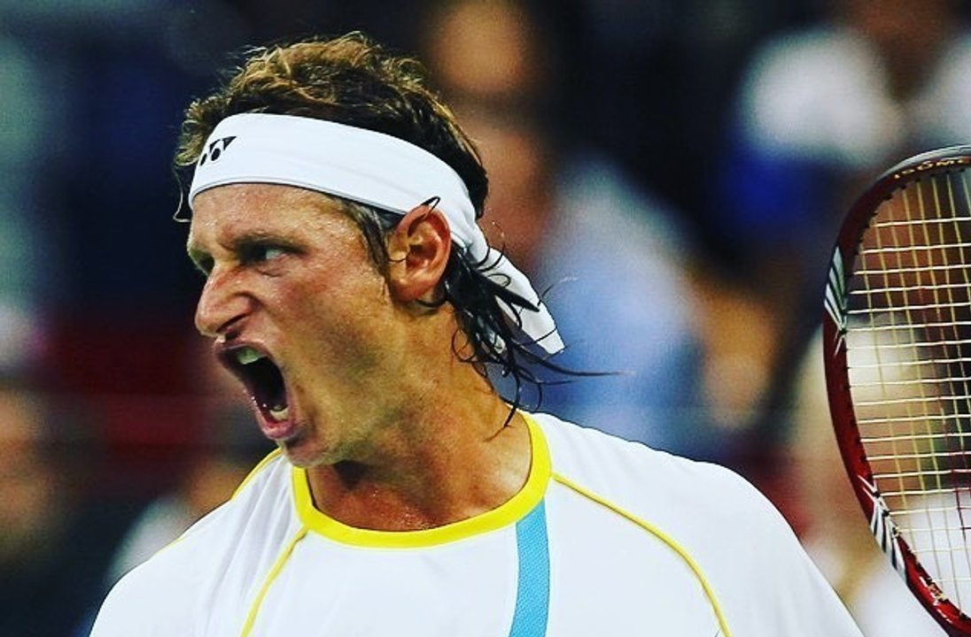 David Nalbandian in action