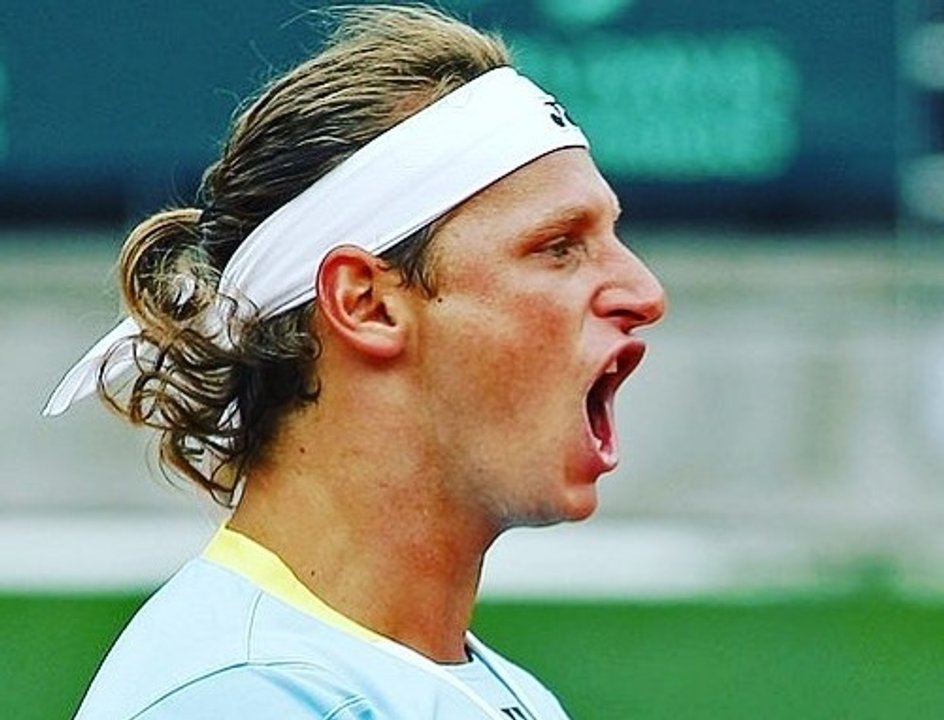 David Nalbandian and Horacio Zeballos