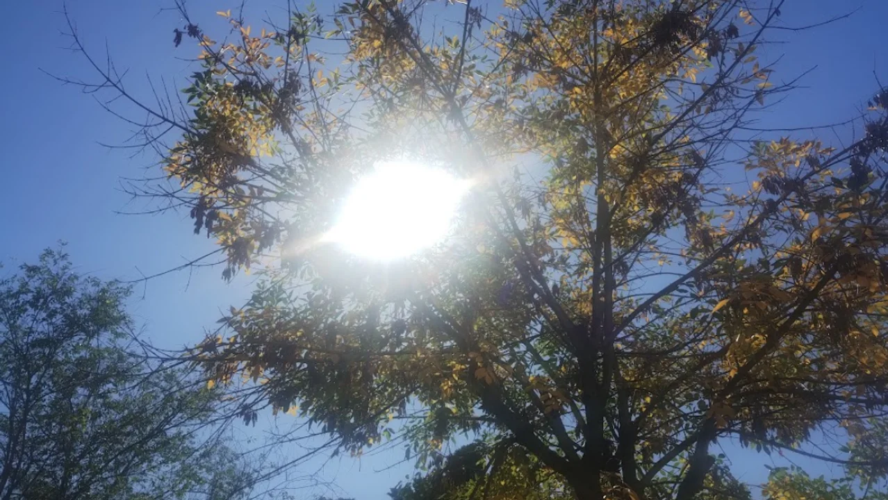 El tiempo: anuncian viento norte y días de ameno otoño en Córdoba