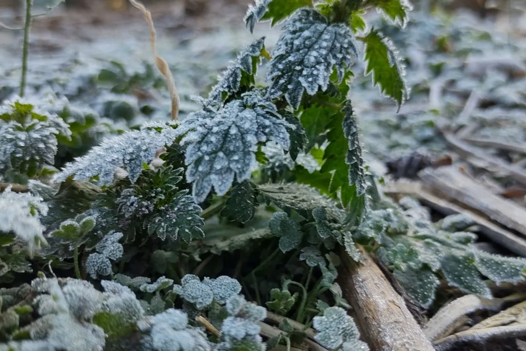 ¡Córdoba, congelada! Una localidad registró casi -10ºC