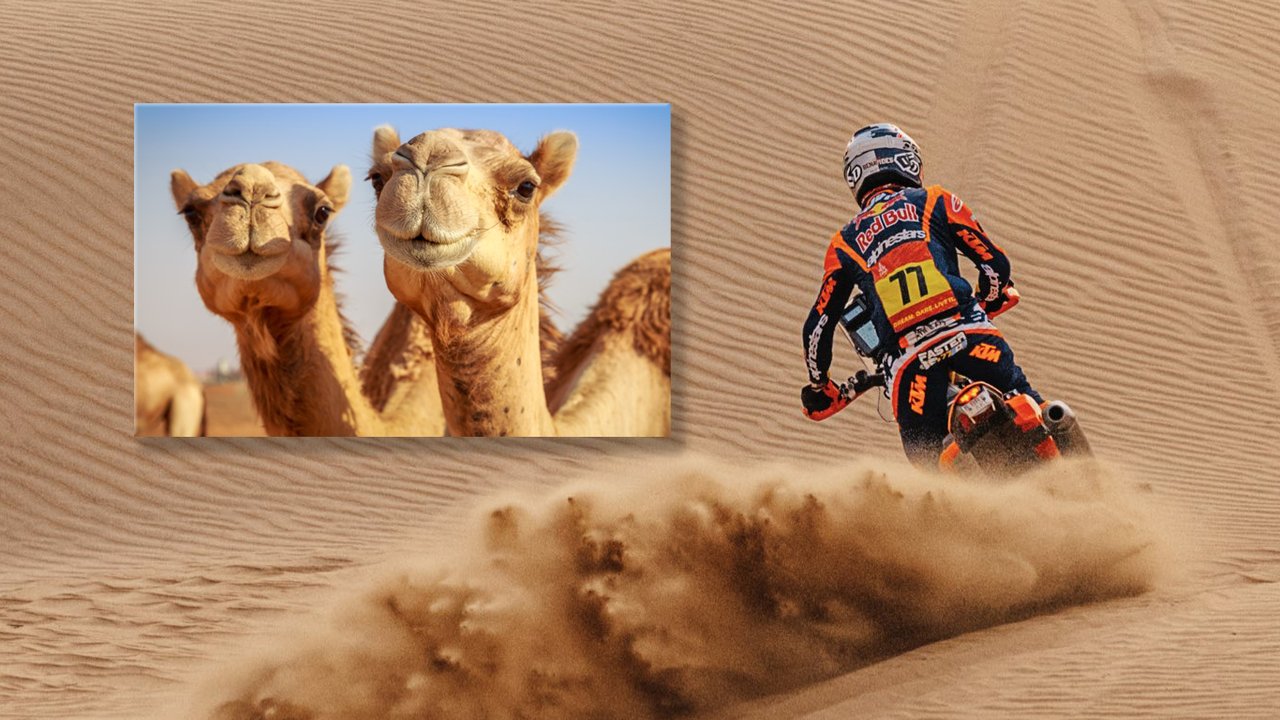 Benavides y una ayuda tan insólita como inesperada en el Dakar thumbnail