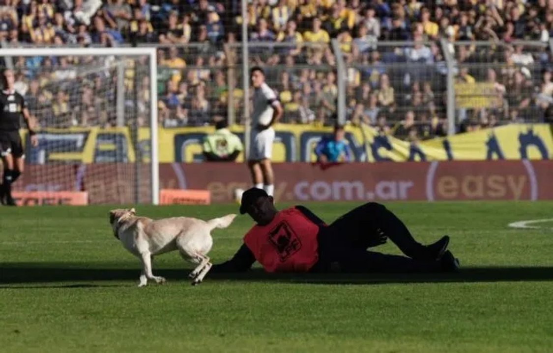 Un intruso se robó el show: el perro que hizo delirar a todo Arroyito thumbnail